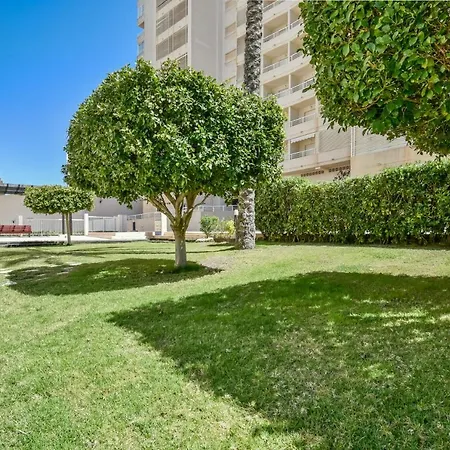 Apartamento Homeincalpe Apolo Xvii 1-2-5 *